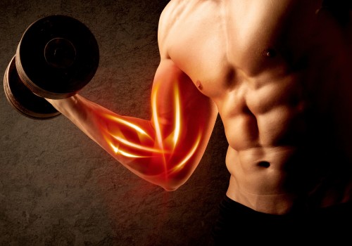 The Power of Peptides: A Guide to Using Them Safely for Fat Loss and Muscle Gain